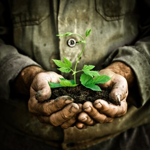 environmental
